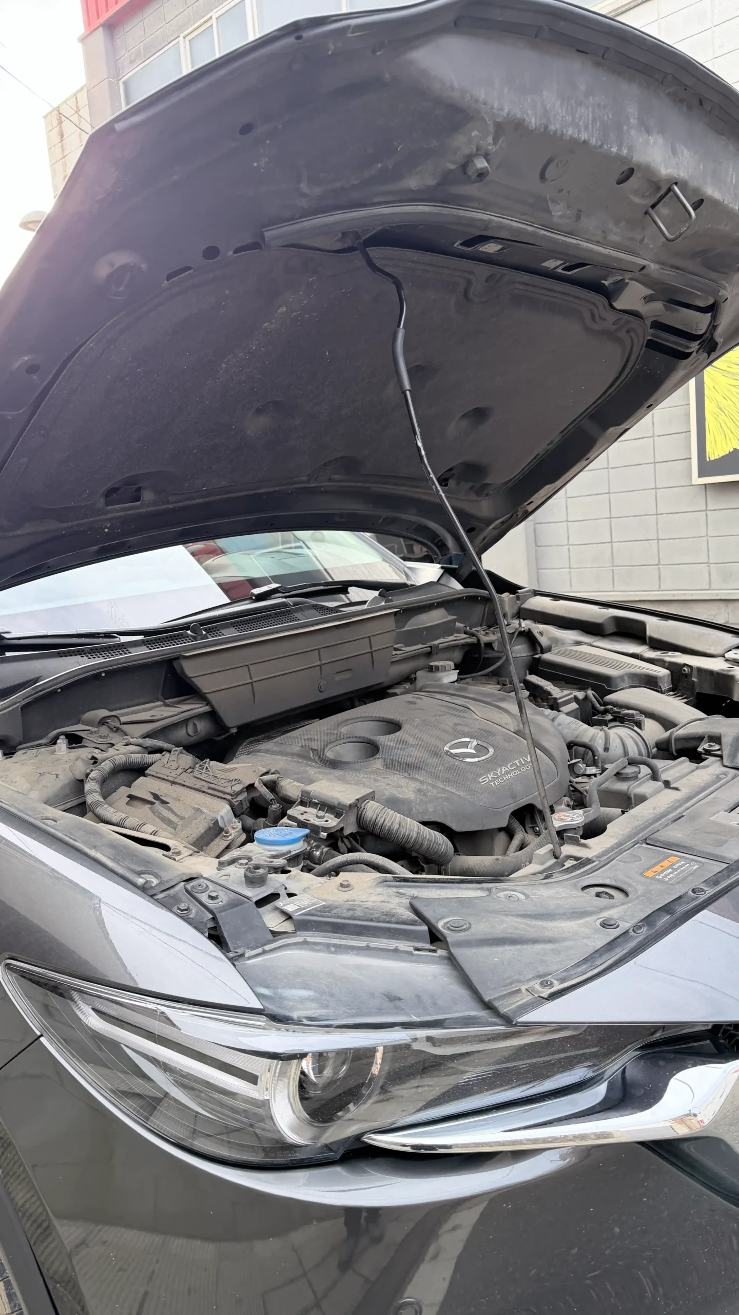 Motor de coche sucio antes de la limpieza en COTXE NET