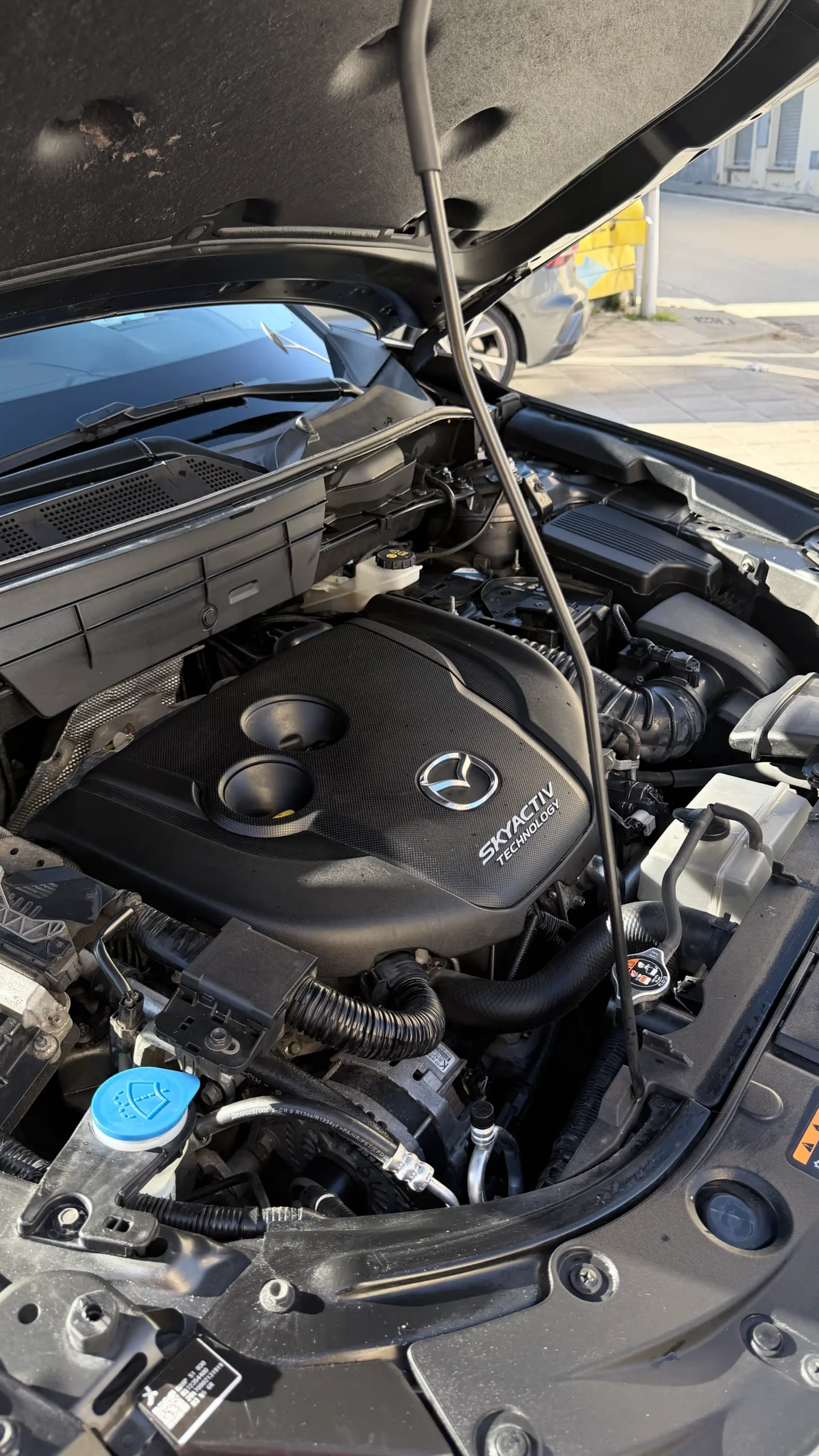 El mismo motor limpio después de la limpieza en COTXE NET
